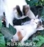 没新游暂停更新一段时间