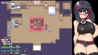 瑞吉内塔的大冒险 リジネッタさんの冒険