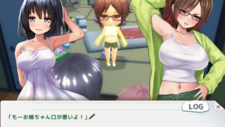 ボクのHな夏の思い出～お姉ちゃん達と過ごした八月～