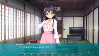 光翼战姬～ExS-TiA协奏曲１～