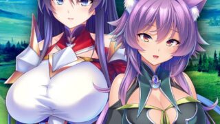 靠辅助魔法建立的后宫无双生活