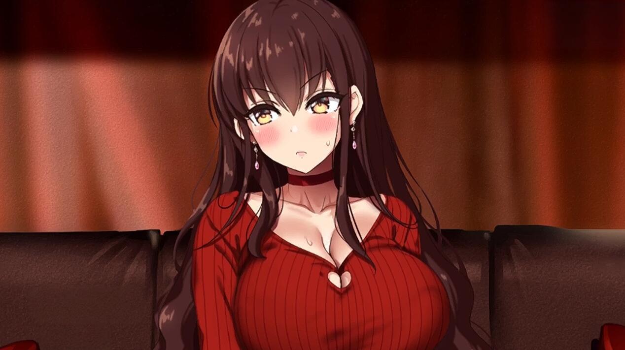 夫は知らない、妻のネトラレ借金返済