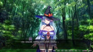 靠辅助魔法建立的后宫无双生活