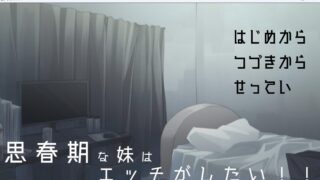思春期な妹はエッチがしたい!!