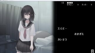 思春期な妹はエッチがしたい!!