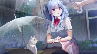 杜尼亚小姐与饲主君