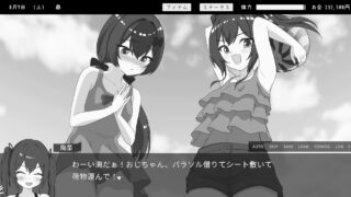 双胞胎与侄女俱乐部