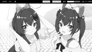 双胞胎与侄女俱乐部